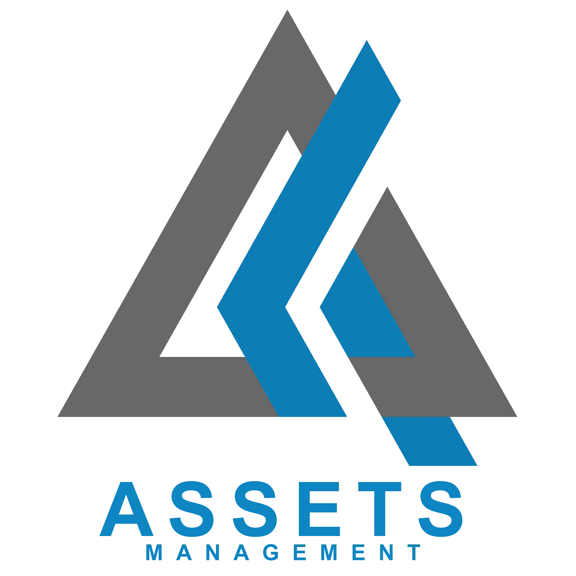 Assets